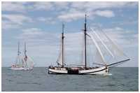 Hanse Sail 2019