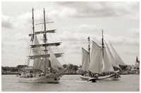 Hanse Sail 2019