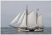 Hanse Sail 2019
