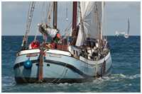 Hanse Sail 2016
