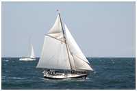 Gaffelkutter Hoffnung