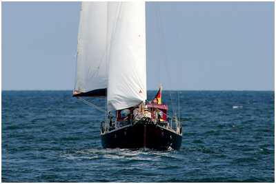 Segelyacht Schildmaid