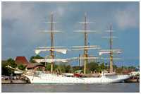 Hanse Sail 2011