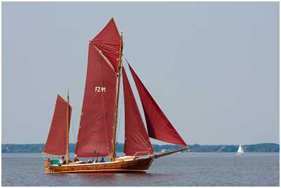 Zeesboot Seriola (FZ 41)