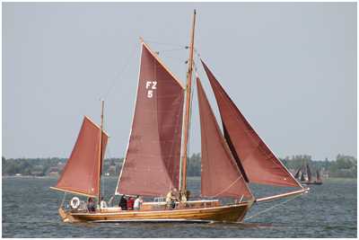 Zeesboot Borsgrieper (FZ 5)