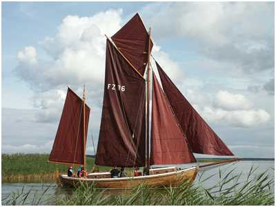 Zeesboot Godewind (FZ 86)