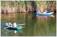 verschiedene Schiffe und Boote in &Auml;gypten
