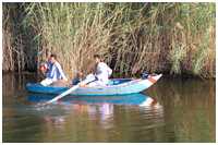 verschiedene Schiffe und Boote in &Auml;gypten