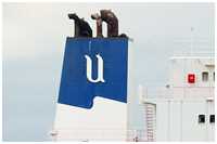 Chemikalien-Tanker Mostraum