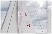 Segelzeichen 10