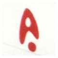 Aquila
