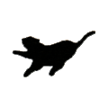 Bay Tiger