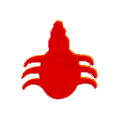 Beetle Cat