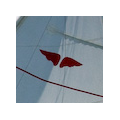 Bird Boat