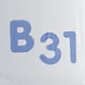Boström 31