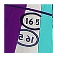 Catalina16.5
