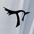 Dutch Flyer