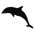 Delphin