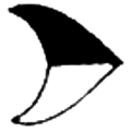 Flipper