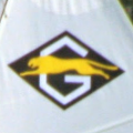 Guepard et Gazelle