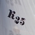 Kirby 25