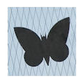 Moth