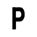 Petrel