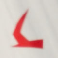 Schwertzugvogel