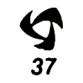 Tayana 37