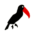 Toucan