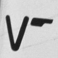 Vaurien