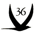 Vancouver 36