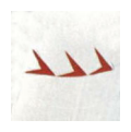 Flying Cruiser S