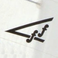 Flyin Fifteen
