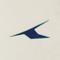 Kormoran