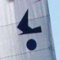 Kielzugvogel
