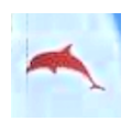 Delphin
