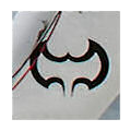 Moth